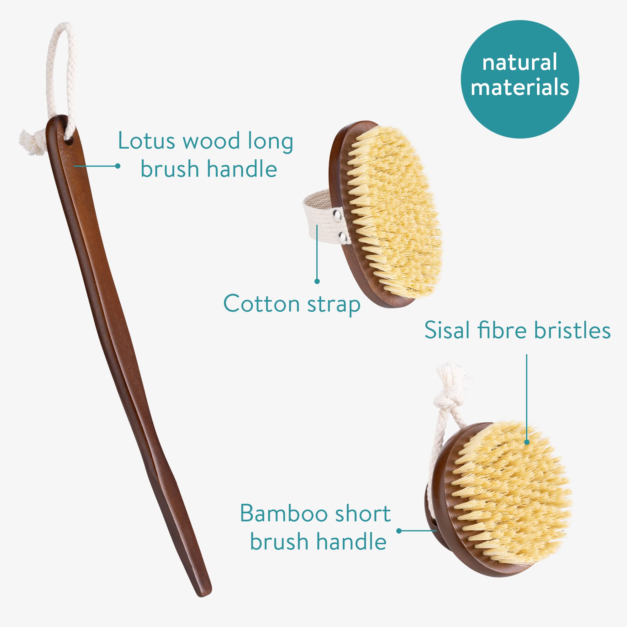 Navaris Körperbürste 2er Set - Trockenbürste für unreine, normale, sensible Haut - Holz Reinigungsbürste Massagebürste - Rückenbürste mit Stiel - Porentief reinigend, sanftes Peeling
