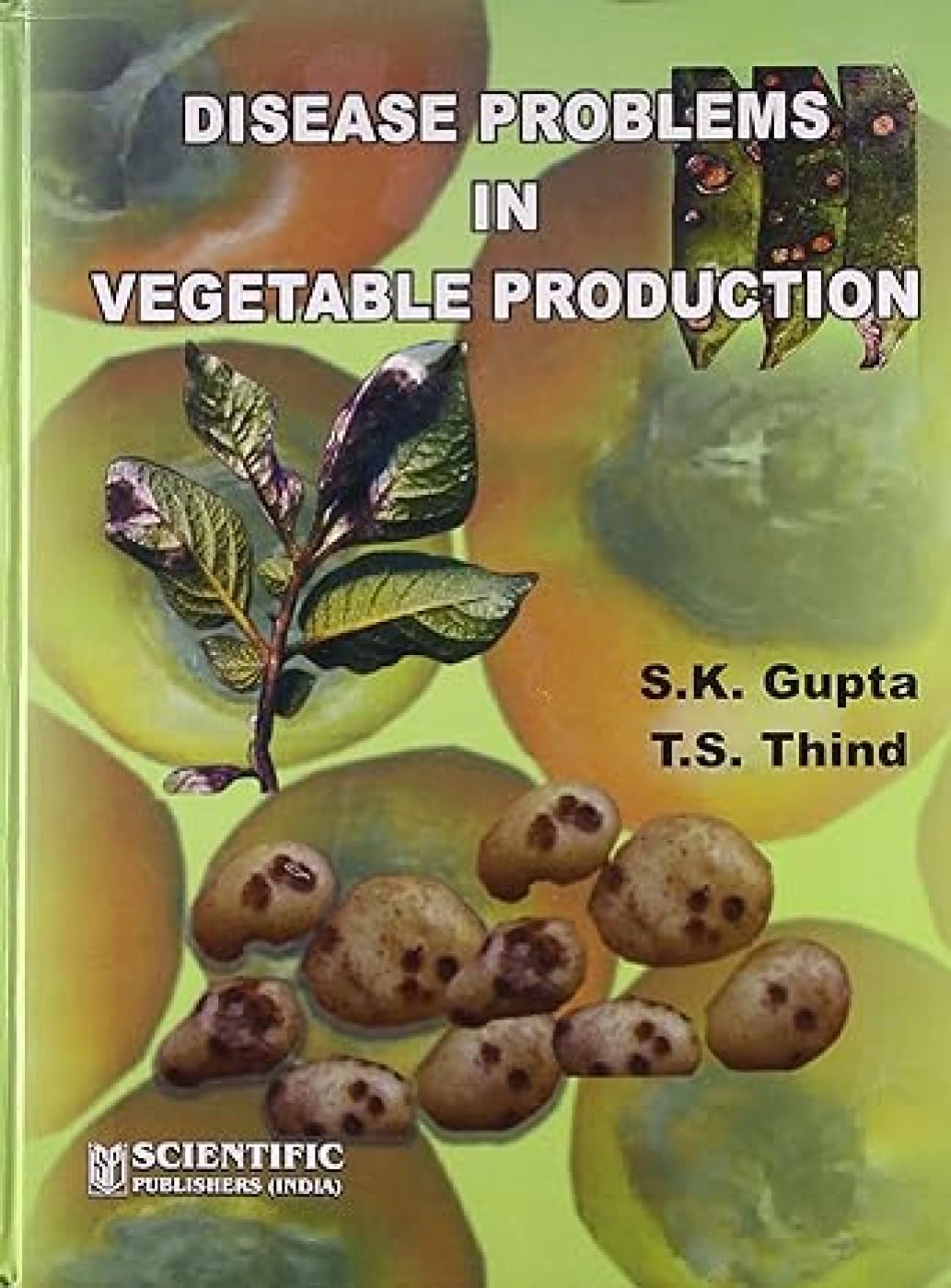 Buy Disease Problems in Vegetable Production — BookShops.in