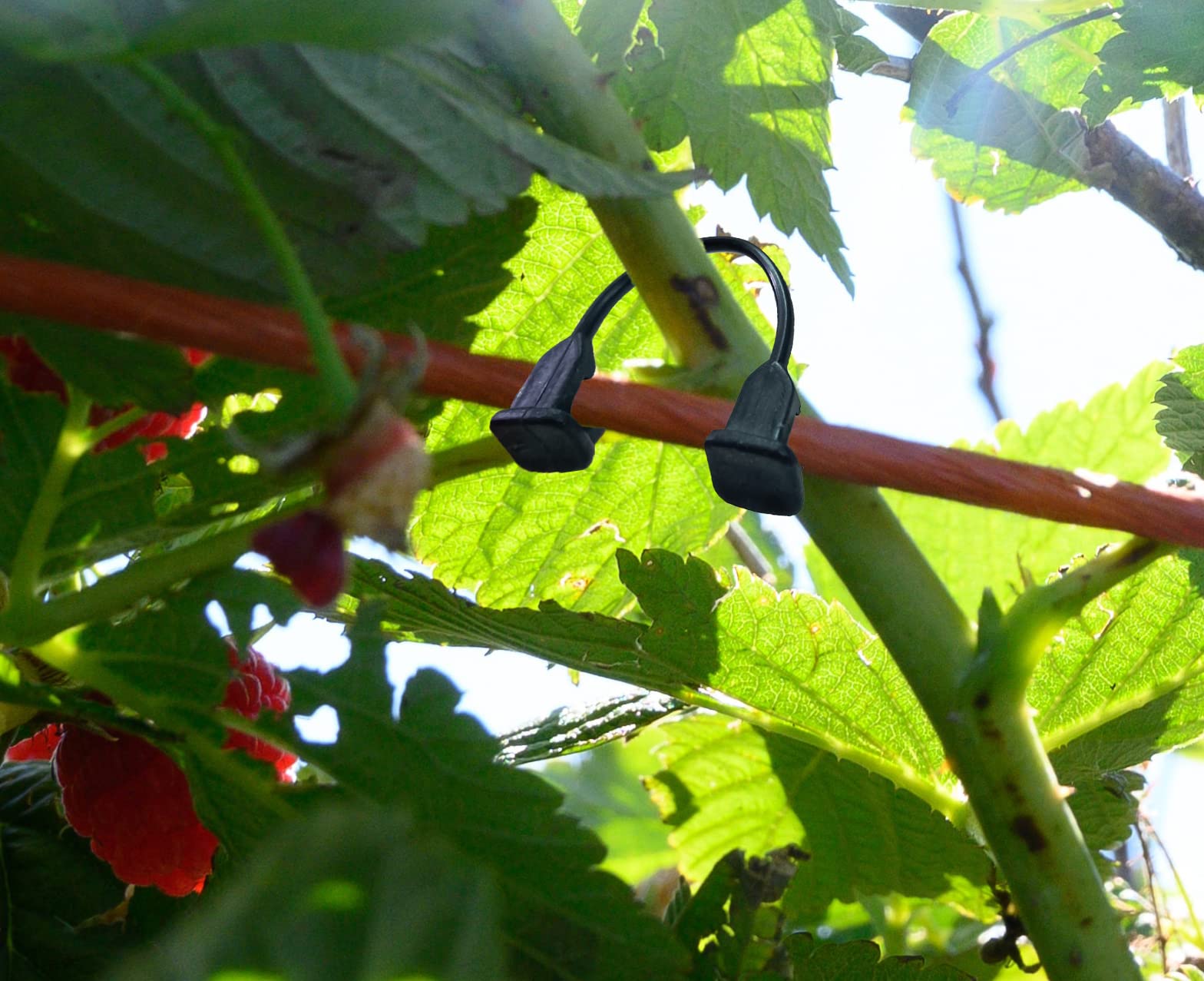 100pcs clip di supporto per fiori e viti, clip di supporto per piante di pomodoro, clip di giardinaggio piccole e grandi | Leroy Merlin
