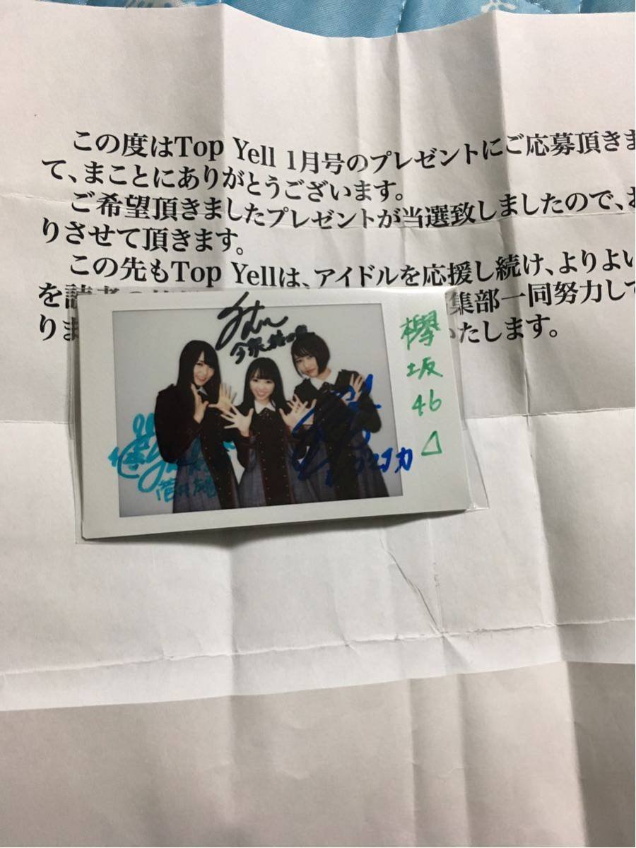 Amazon.co.jp: 欅坂46 志田愛佳 菅井友香 今泉佑唯 直筆サインチェキ  