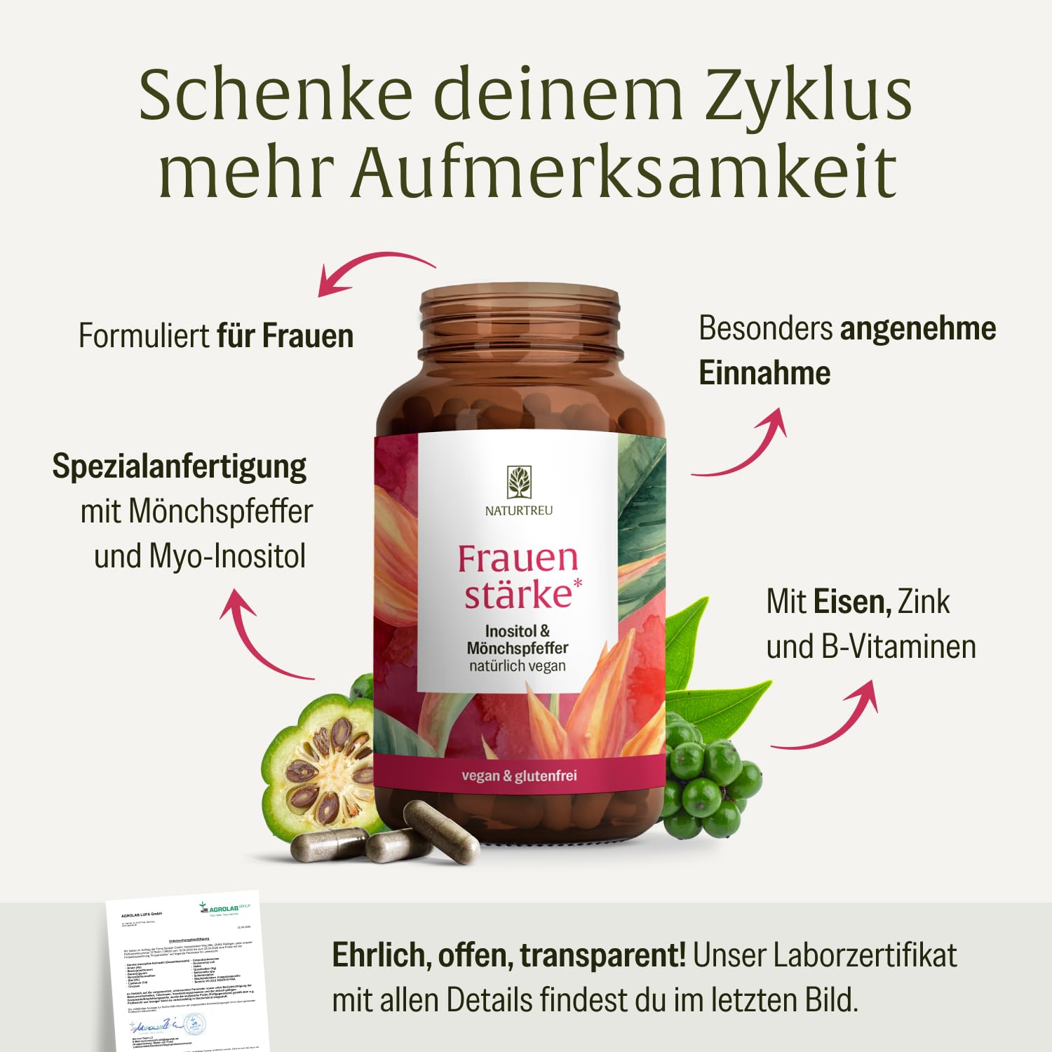 NATURTREU® Myo Inositol & Mönchspfeffer hochdosiert - 90 Frauen Vitamine Kapseln mit L-Carnitin, Folsäure, B12 & Eisen - Vitex Agnus Castus