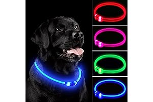 Glow Collars for Dogs: Illuminate Your Furry Friend's Night Adventures