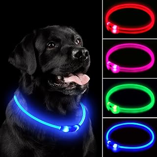 NOVKIN LED Rechargeable Light Up Dog Collar - IP67 Waterproof, Adjustable 12-22", 3 Modes, Blue Safety Glow for Night Walking Small Medium Large Dogs