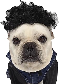 【24HOURS】犬 猫 ハロウィン カツラ パーマ アフロ おもしろグッズ 変装 フレンチブルドッグ ペット服 犬 コスプレ 可愛い 猫服 犬用 面白い コスチューム 小型犬 中型犬 大型犬 変身服 出掛け 撮影道具