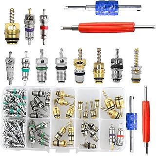 HZEL 102PCS Car Air Conditioning Valve Core Accessories Kit, R12 R134a Vehicle A/C Refrigeration Tire Valve Stem with Remover Installer, Automotive Valve Spool Repair Tool Assortment Set