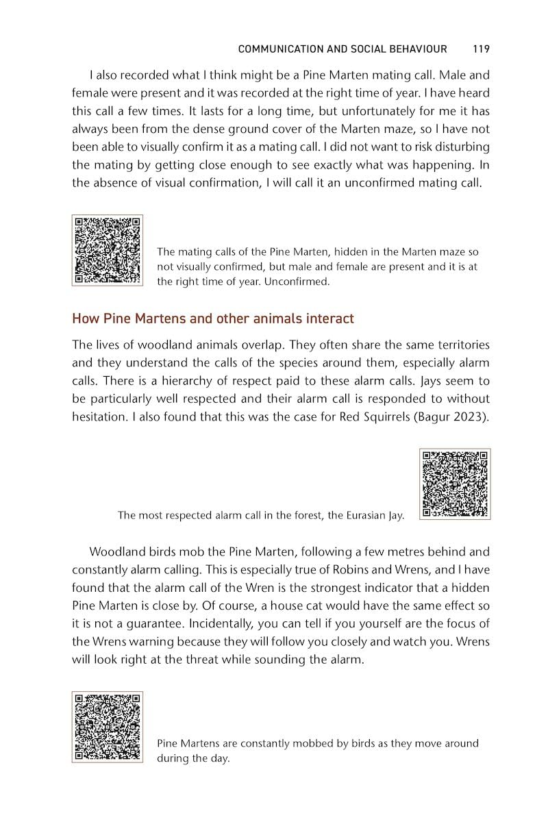 Pine Marten: The Secret Life of Martes martes (Pelagic Monographs)