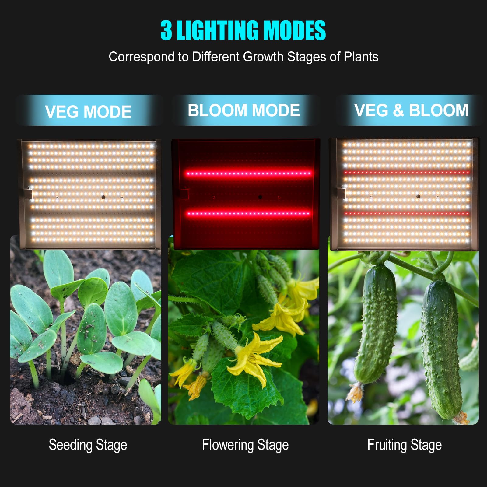 MICCYE Lampe Horticole LED 100W avec Minuterie 4/8/12H Lampe de Croissance pour plantes 450 LEDs Lampe de Culture Spectre Complet avec 10 Luminosités pour Semis Germination Croissance Floraison Fruit