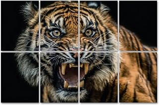 8 Pack Art Acoustic Panels Self Adhesive Tiger roar Decorative Soundproof Wall Panels Sound Absorbing Panel 48"x32" for Office Home Studio