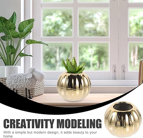 Miniatura 9 de Garneck Macetero de cerámica con diseño de calabaza, mini maceta para suculentas, jarrón minimalista, soporte para flores secas, para otoño, Acción