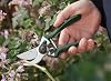 Spear & Jackson 6659KEW Kew Gardens Collection Heavy Duty Bypass Secateurs