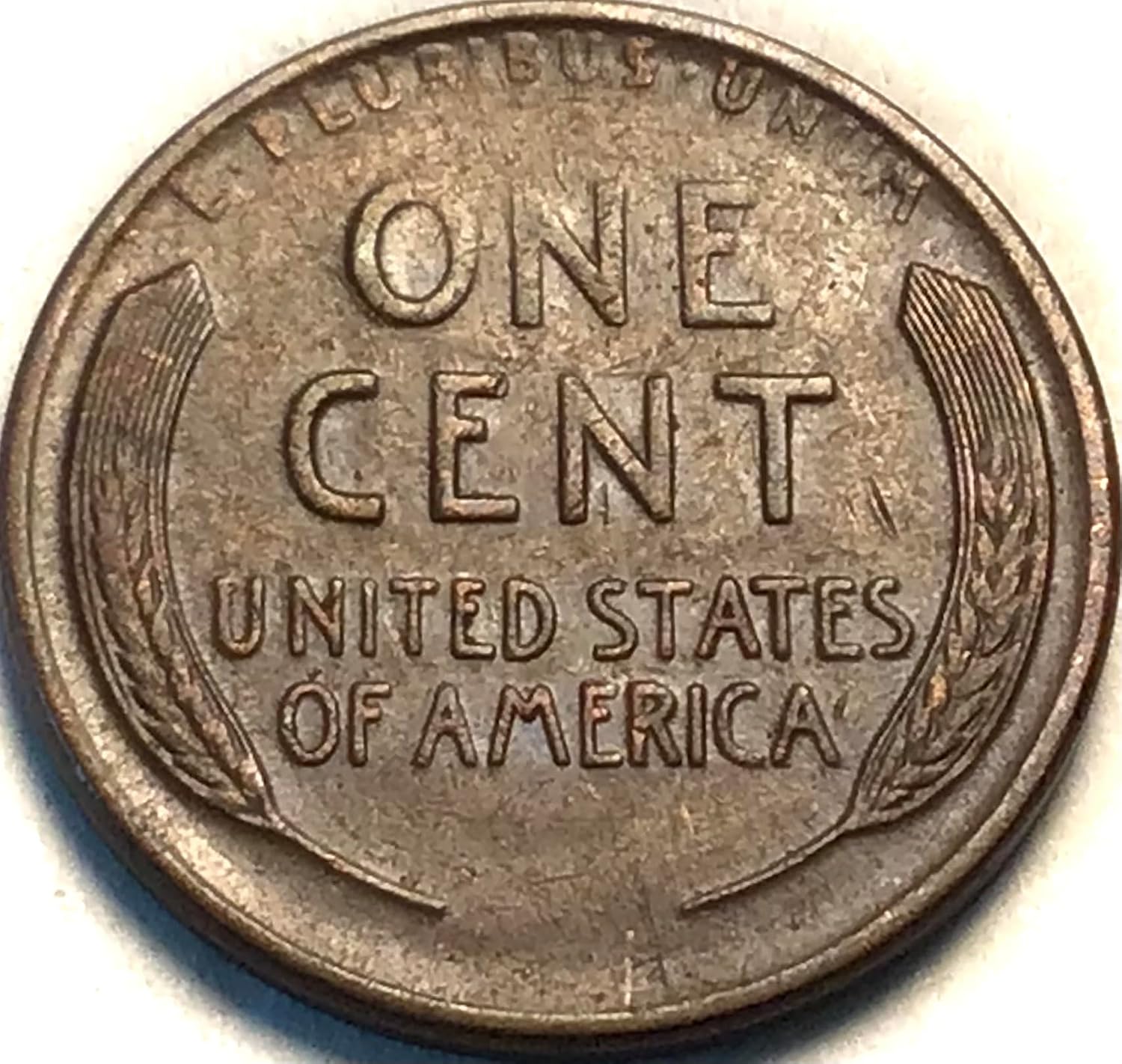 1919 D Lincoln Wheat Cent Penny Seller About Uncirculated