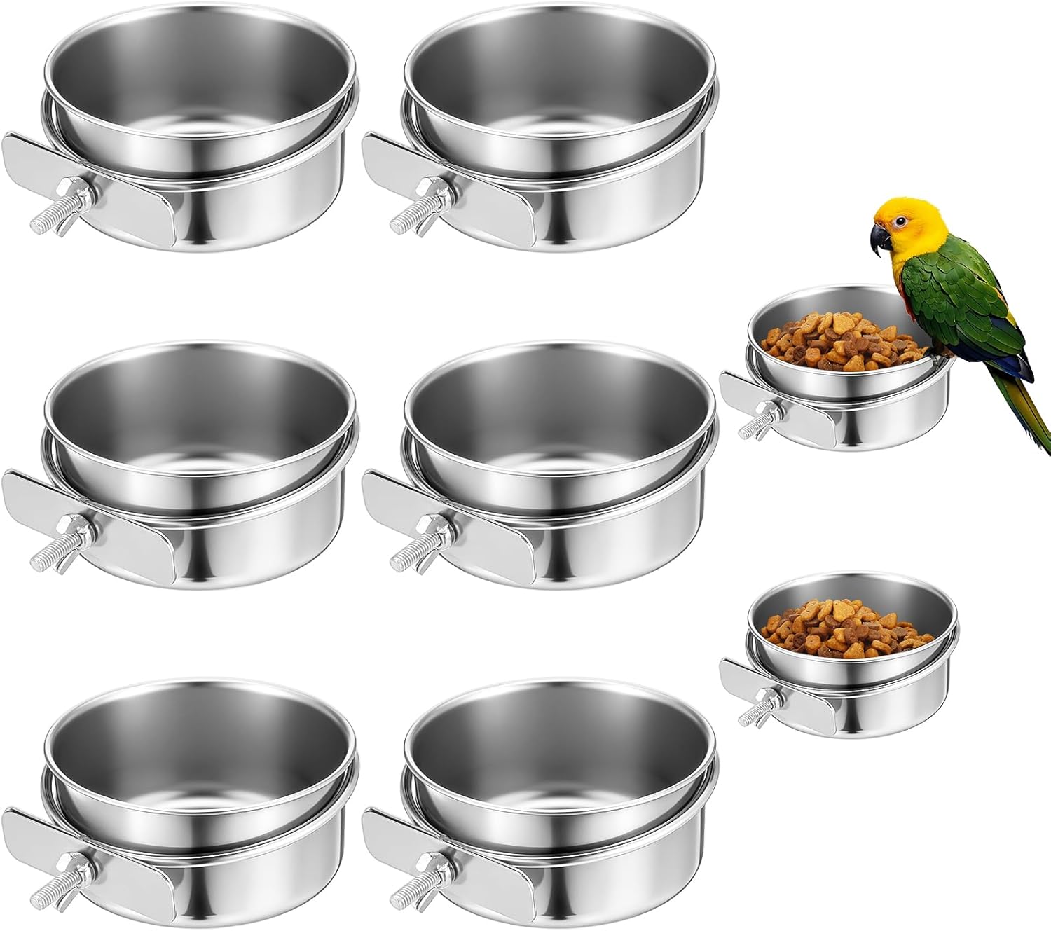 Stainless Steel Bird Bowls