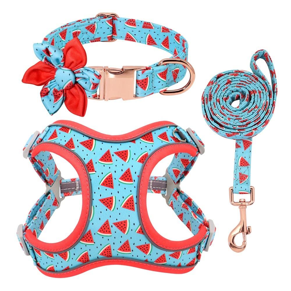 Correa para Mascotas, Juego de arneses para Perros y Gatos, Collar con Estampado Azul, Correa Personalizada para pasear Mascotas (S)