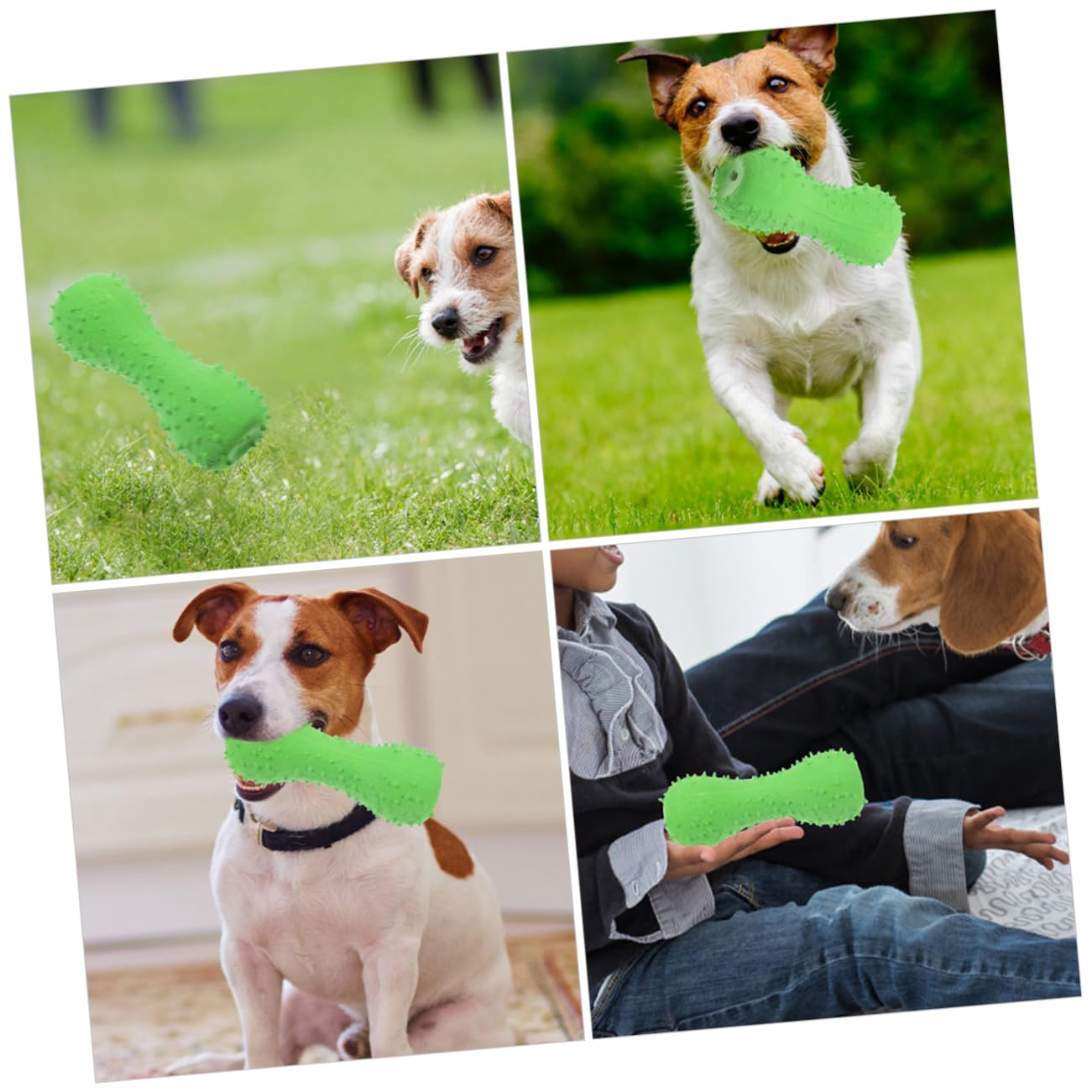 HANABASS 10pièces Jouets à Mâcher pour Chiens Jouets Forme De Cartoon pour Chiots Conception De Épineuse pour Nettoyage Et Résistants