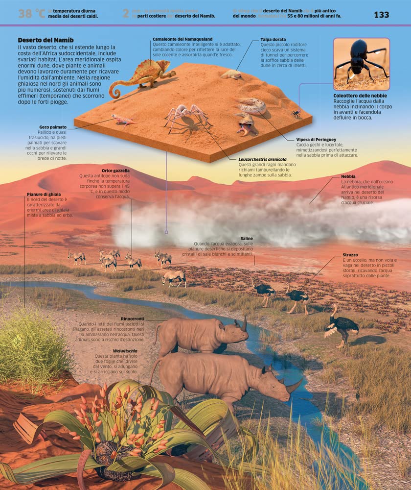 La grande enciclopedia della Terra. Ediz. a colori