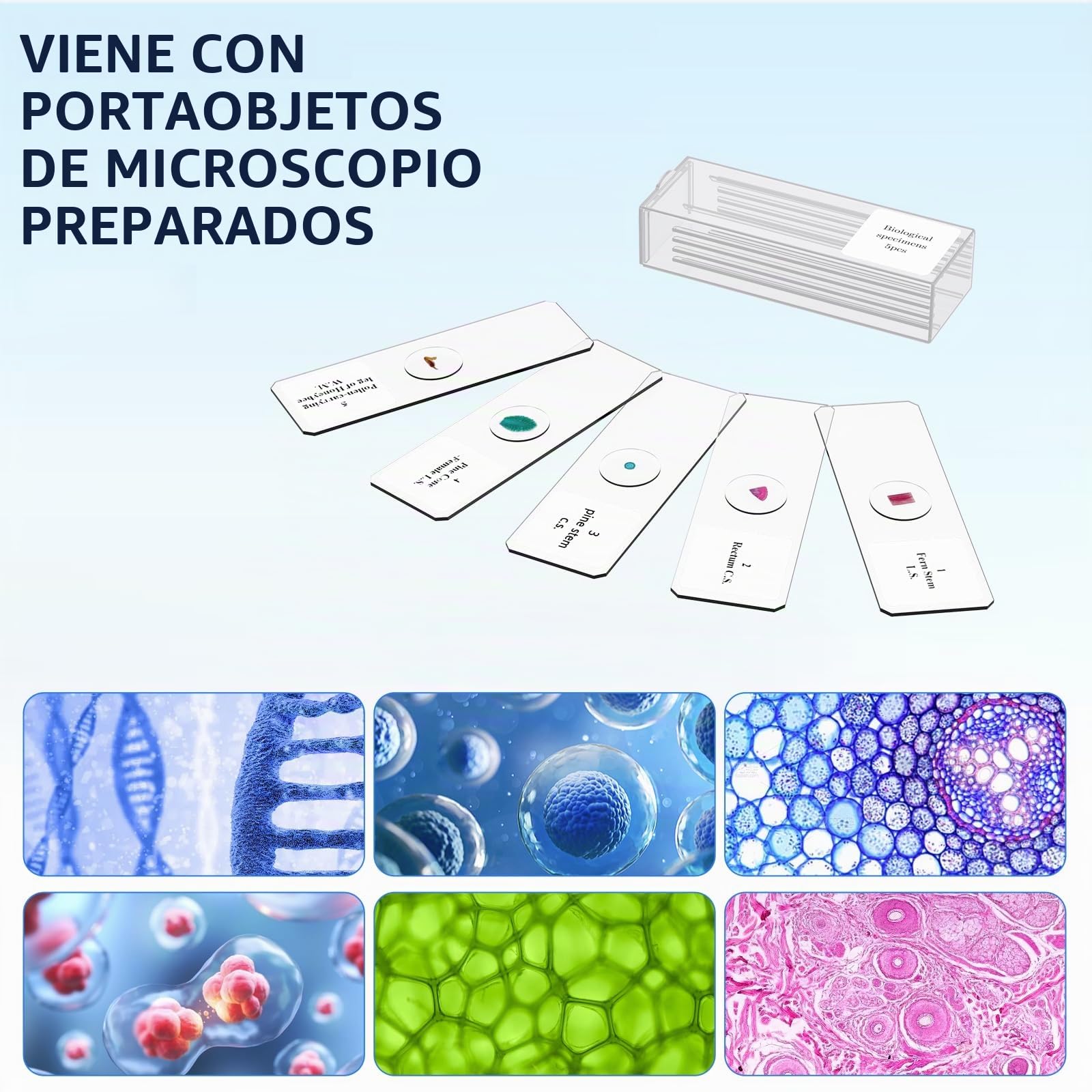 Microscopio 40-2000X para ciencia y exploración educativa con kit de diapositivas y estuche de almacenamiento