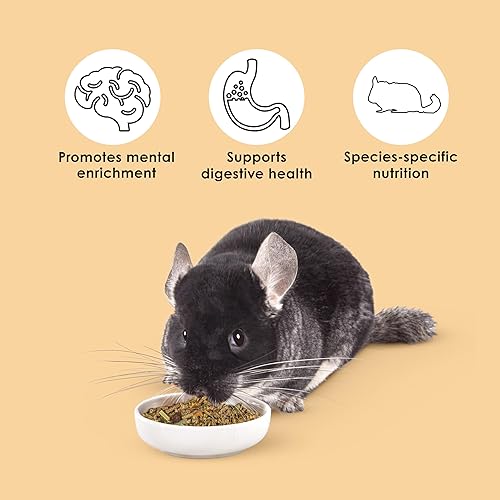 Miniatura 4 de Kaytee Comida de la Chinchilla salvaje, 3 libras