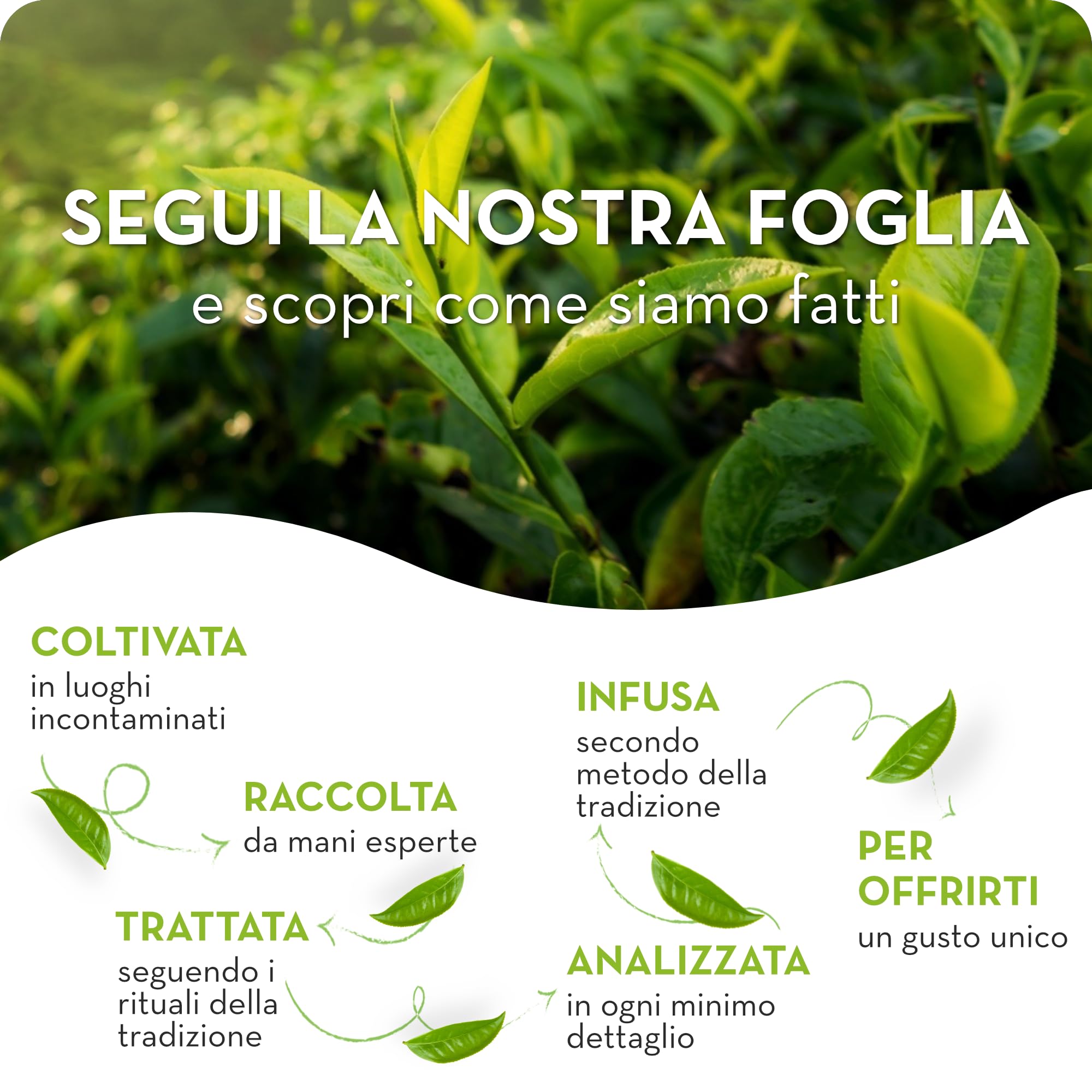 Estathé Limone - The Freddo con Vero Infuso di Foglie di The e Succo di Limone, Bevanda Analcolica Senza Glutine, 12 Bottiglie da 400 ml