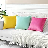 Vista 7 de Artscope Fundas de Almohada de Terciopelo de Lujo Fundas de Almohadas Cuadradas Decorativas Fundas de Cojines Suaves Sólidas para Sofá de Sala Sofá