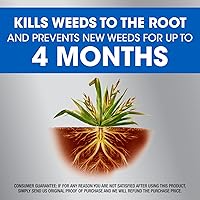 Vista 4 de Roundup Eliminador de malezas y hierba de doble acción más recambio preventivo de 4 meses, 1.25 galones (paquete de 2)
