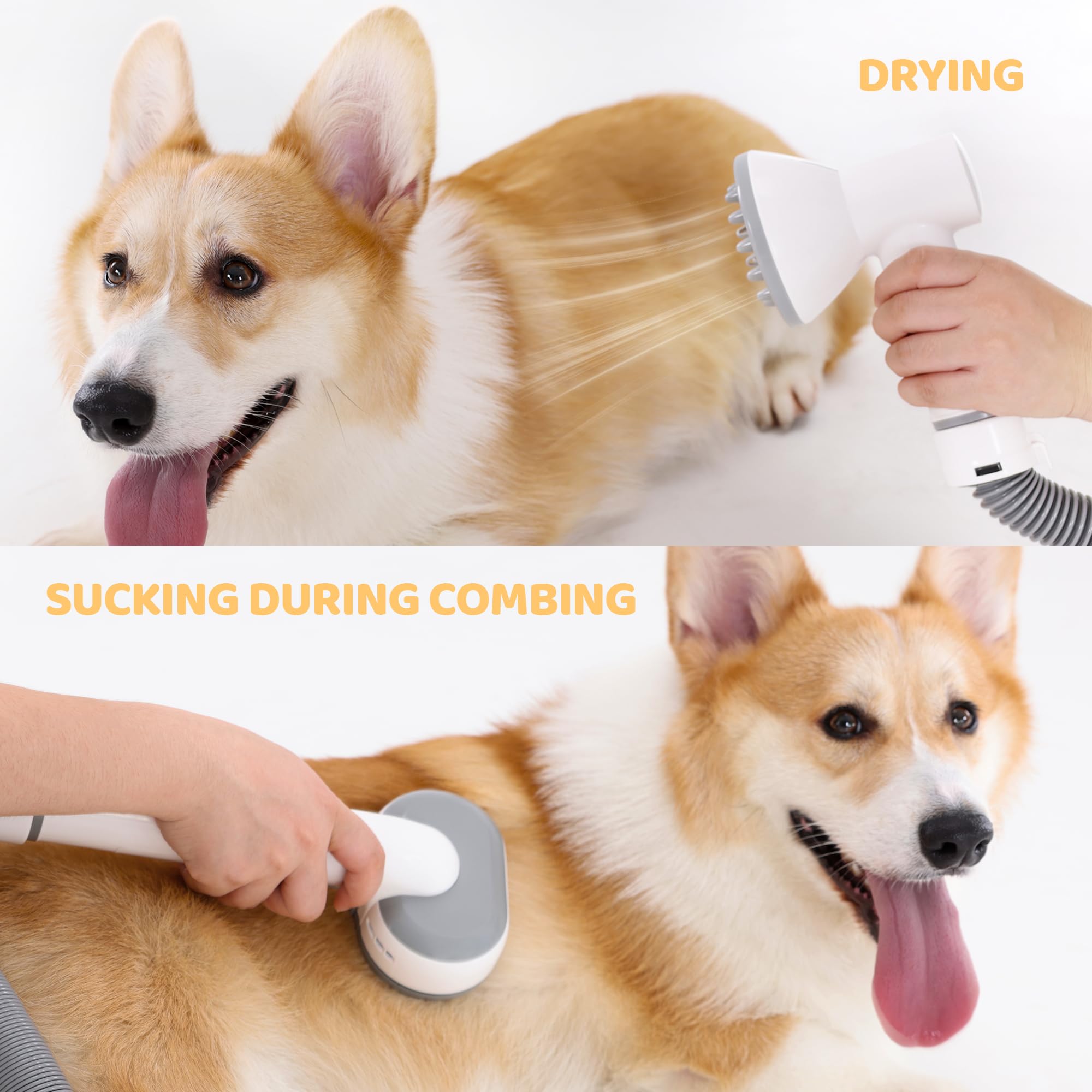 Exacme 7 in 1 Dog Grooming Vacuum & Dryer Grooming Kit, Suction Pet Hair with 2.5L Dust Cup, Adjustable Speed and Temperature Cat Dog Blow Dryer, PV3687