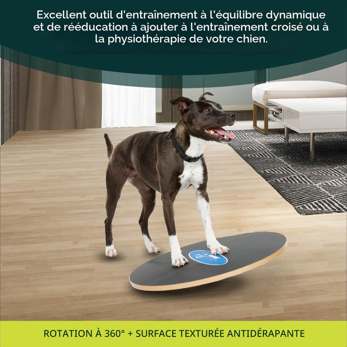 Ball Dynamics Int. LLC FitPAWS Planche d'Equilibre Osciller pour Chien 50 cm