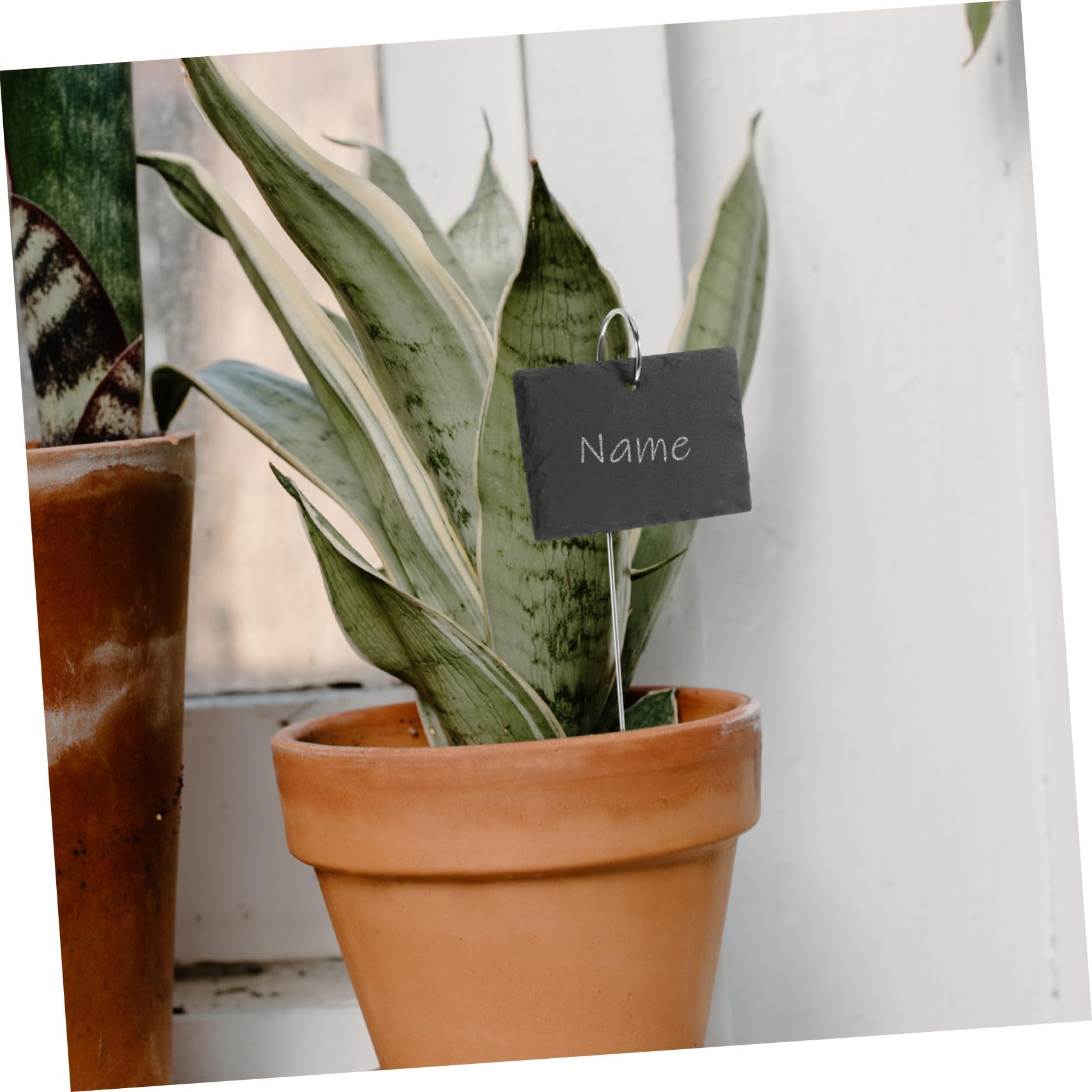 BESPORTBLE 15pezzi Etichette Giardino Inossidabile Per Piante Marcatori Per Piante Etichette Per Giardino Segni Per Vaso Resistente e Facile Da Scrivere