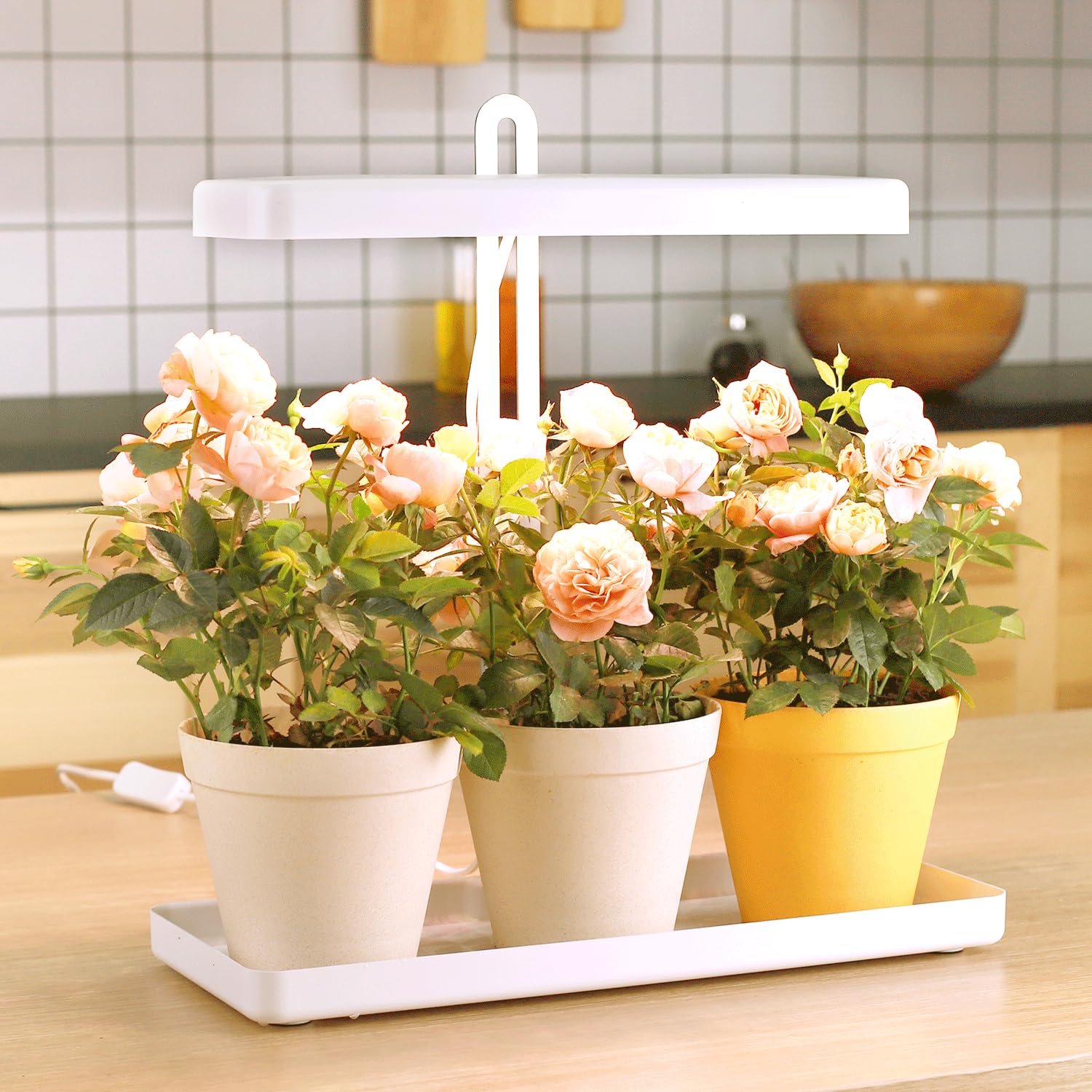 LED BLOOM 20W Pflanzenlampe LED, Vollspektrum Pflanzenlicht für Zimmerpflanzen, Höhenverstellbares LED- PflanzenwacSB-Laden (BLOOM 20W)