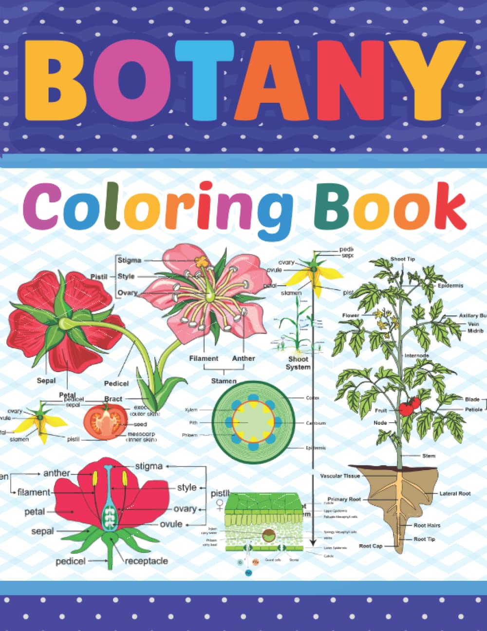 Botany Coloring Book: Botany Coloring Book For Kids Boys Girls Teens & Adults. Flower Leaf Grass Tomato and Pepper Plant Coloring Book. Great Coloring ... Botany Student's Self-Test Coloring Book.