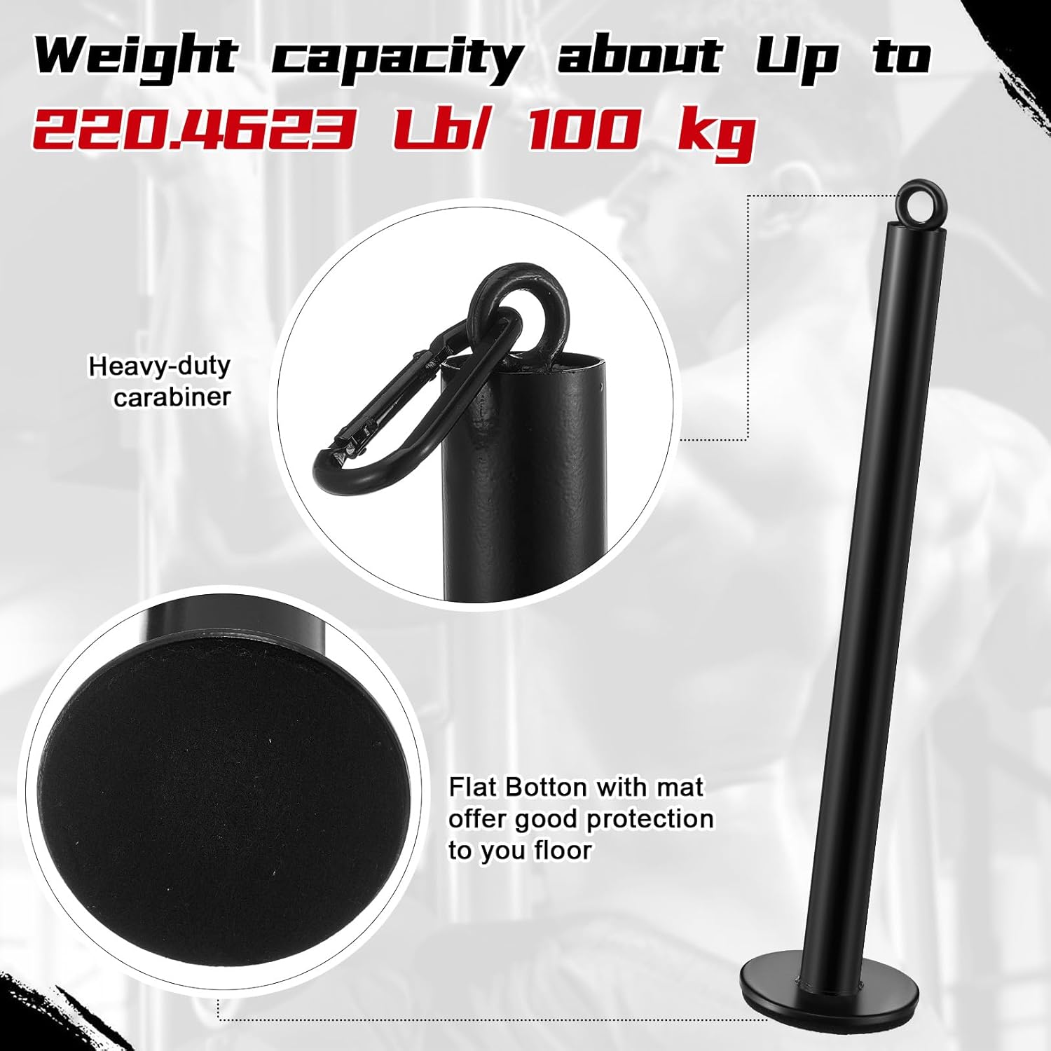 Lasnten 2 Set Weight Loading Pin Fit 1 Inch Standard Weight Plate Heavy Duty Loading Pin with Carabiner for Cable Pulley LAT Pulldown System Home Gym Strength Training Equipment(Diameter 0.8 Inch)