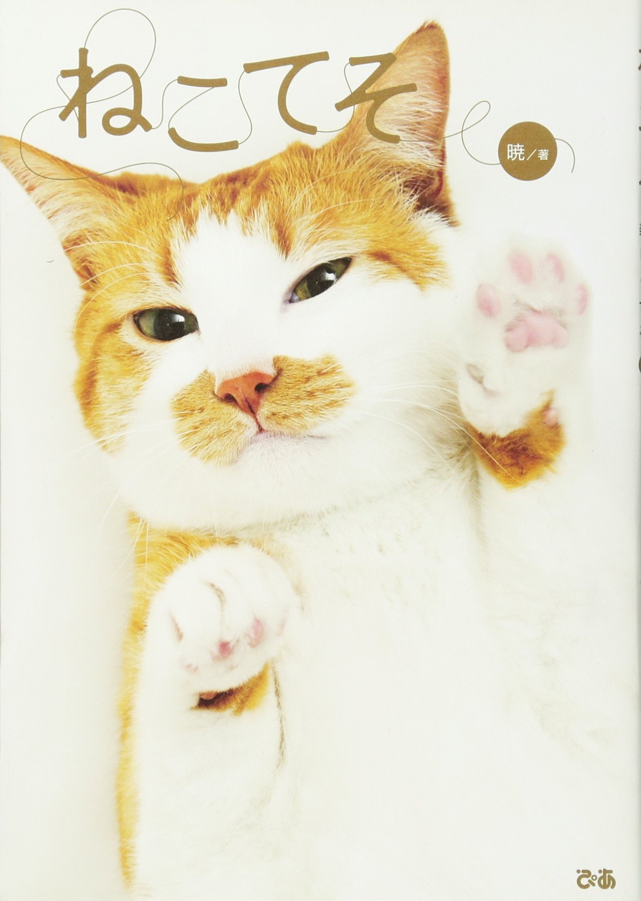 ねこてそ | 暁 |本 | 通販 | Amazon