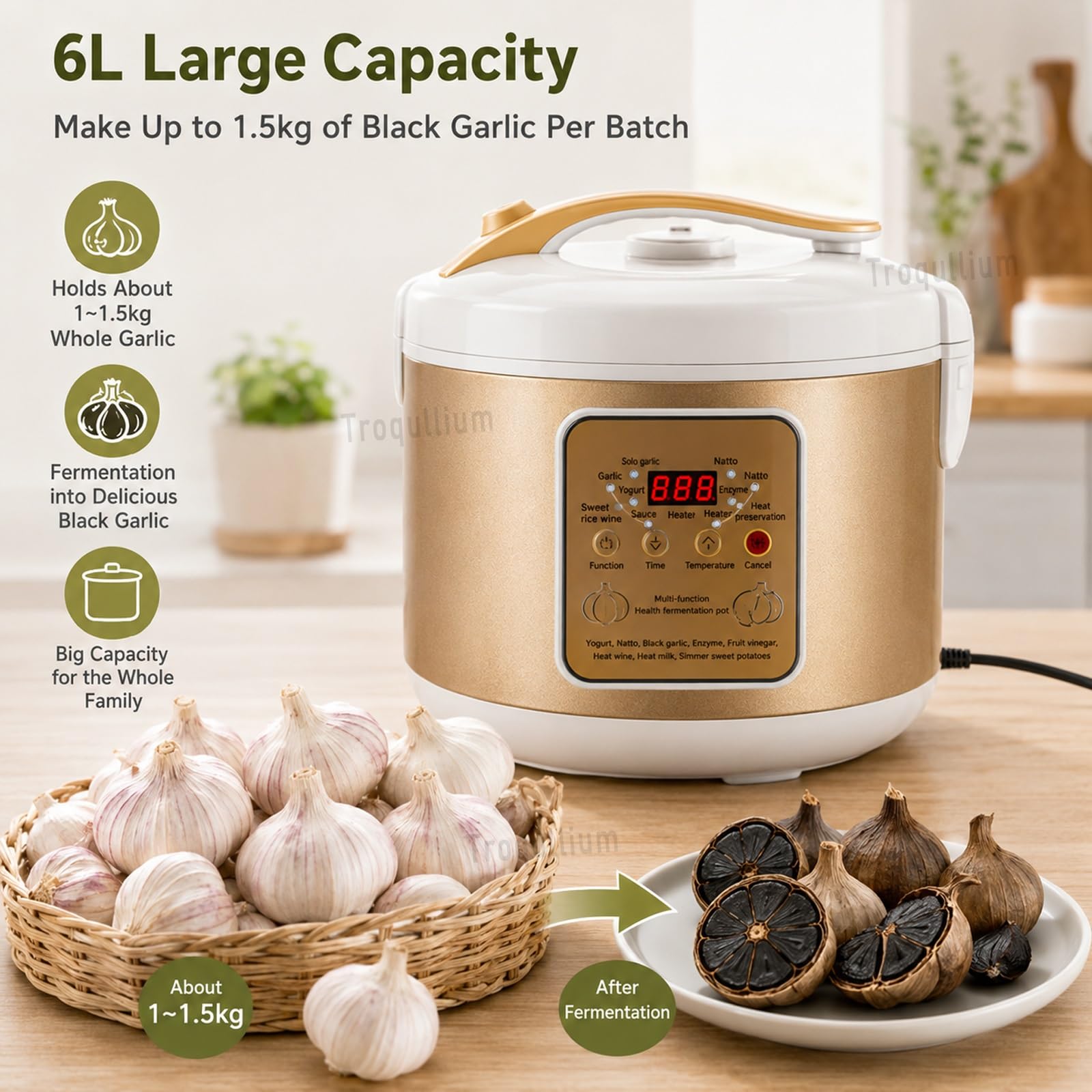 Fermentatore Automatico for Aglio Nero,Vaso Interno in Lega di Alluminio a Doppio Strato da 6litri,Controllo preciso della Temperatura temporale,for natto,Yogurt,Kimchi,Vino alla Frutta