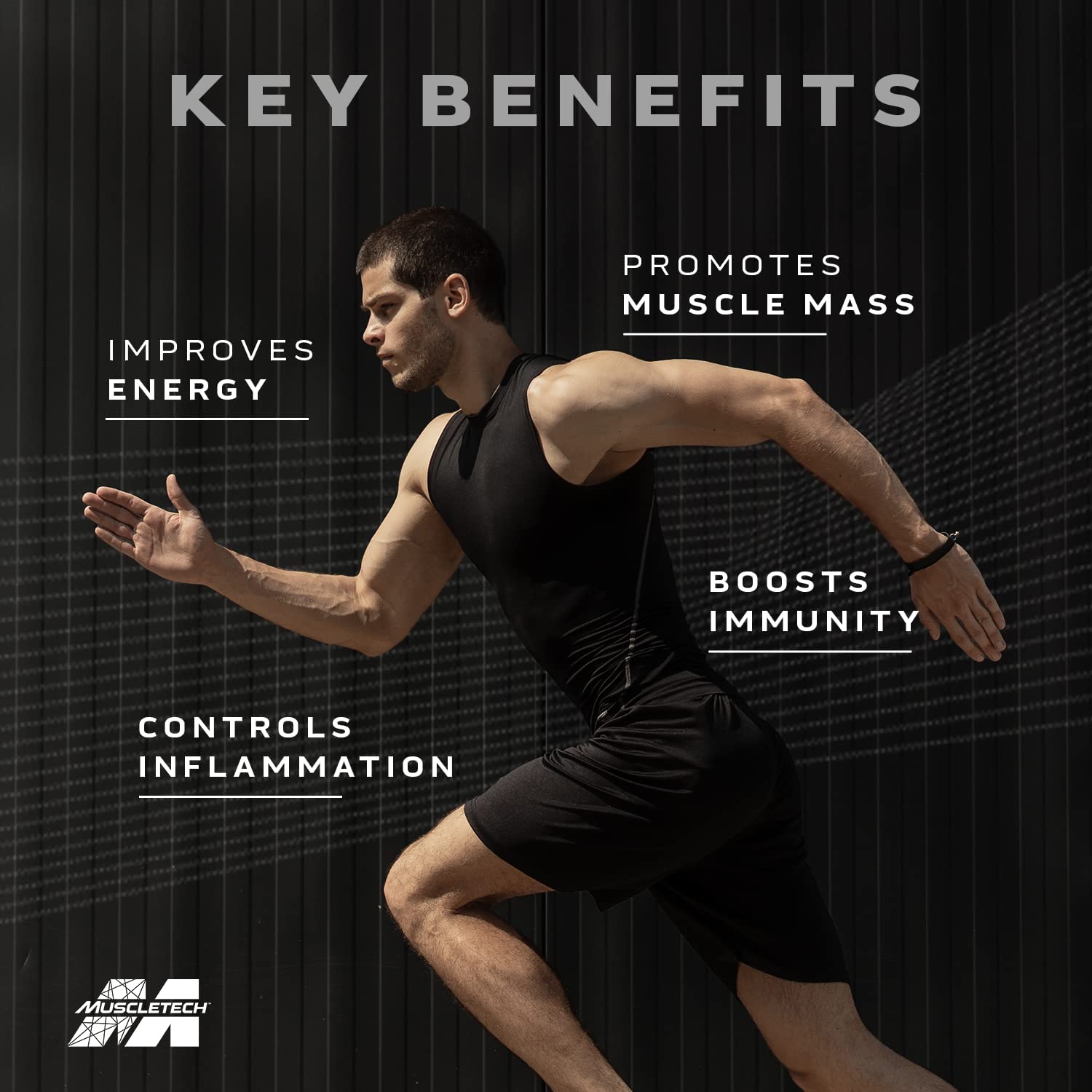 Muscle-Tech Platinum Multivitamin – Immune Support with Vitamin C, 18 Essential Vitamins & Minerals for Daily Health & Wellness | 60 Tablets for Men & Women Muscle-Tech Platinum Multivitamin – Immune Support with Vitamin C, 18 Essential Vitamins & Minerals for Daily Health & Wellness | 60 Tablets for Men & Women