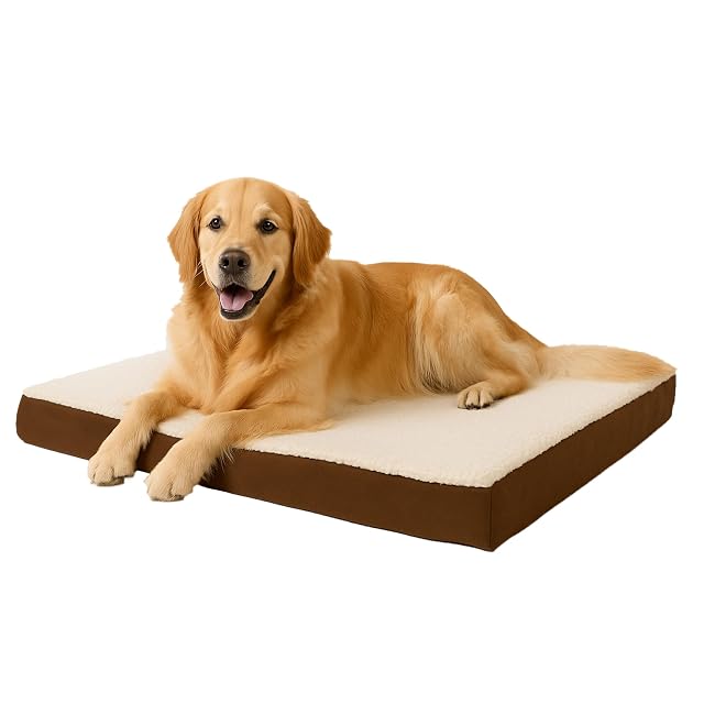 Petmaker Cama ortopédica Sherpa Superior para Mascotas con Espuma viscoelástica y Funda extraíble