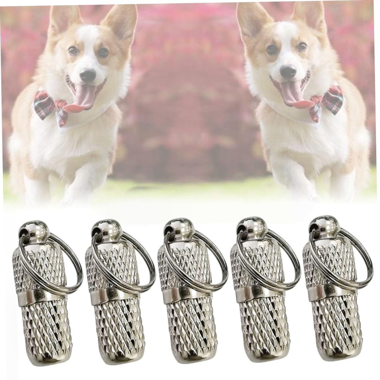 BESPORTBLE 50pezzi Medaglietta Identificativa Per Collare Animali Domestici Ciondolo Antiperdita Argento Leggero e Resistente Facile Da Attaccare Design Pratico e Duraturo