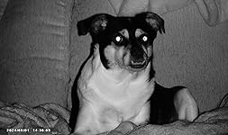 Review Image by David David