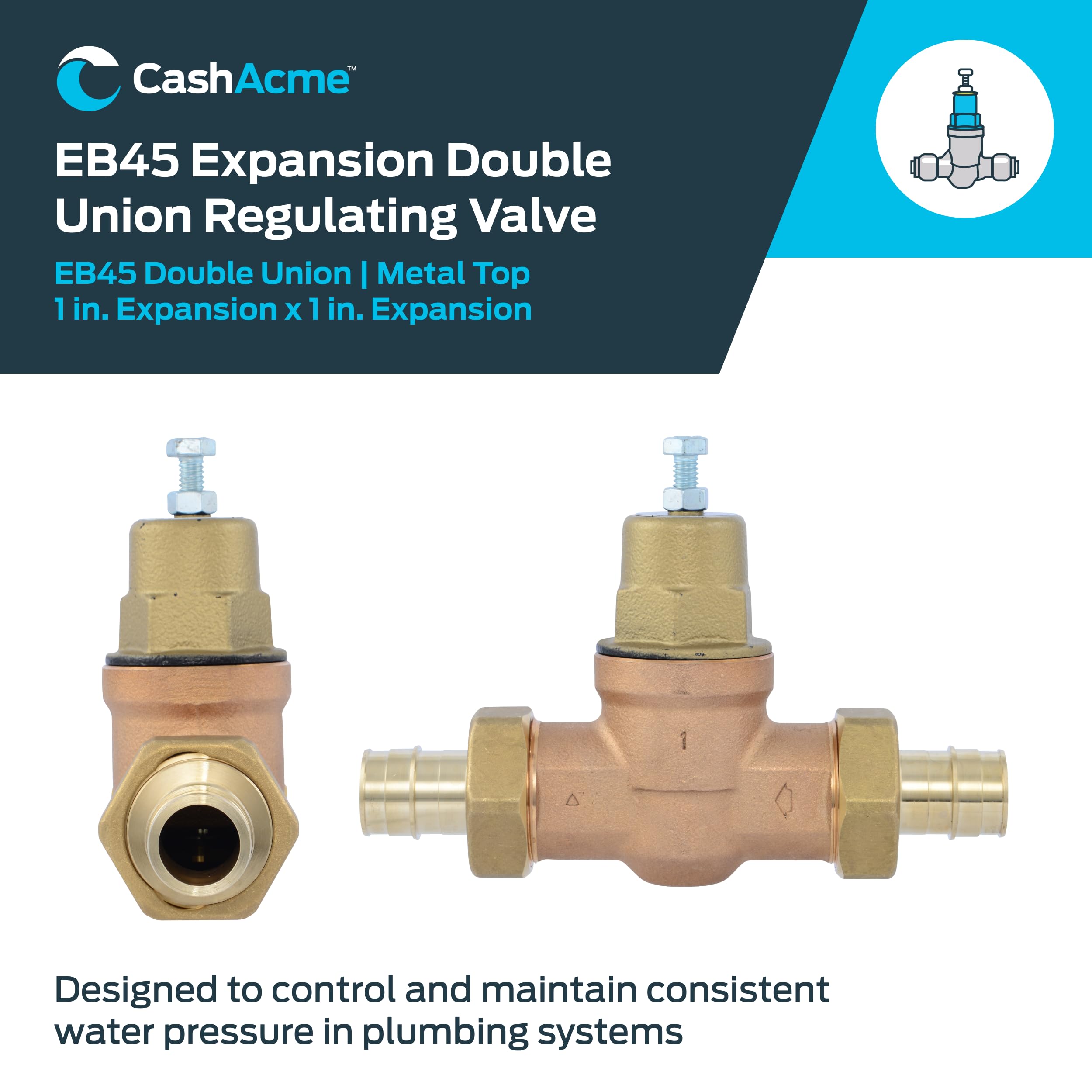 Cash Acme EB45 Pressure Regulating Valve, Double Union, 1 Inch Expansion, Metal Top, 60 PSI, PVA20M-DUEX-60