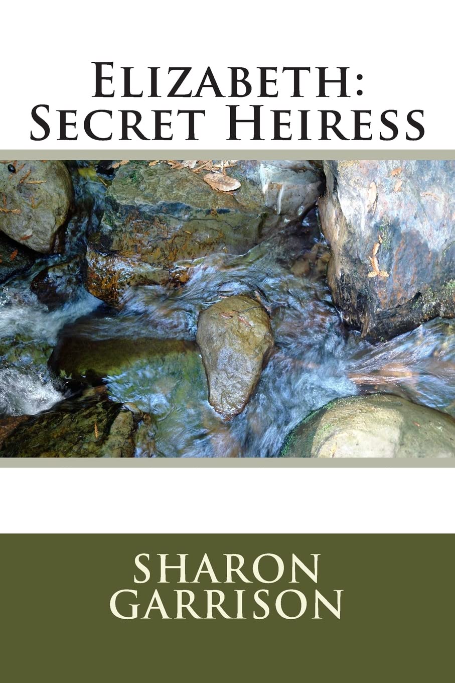 Elizabeth: Secret Heiress: Volume 1 (Families Matter Series)