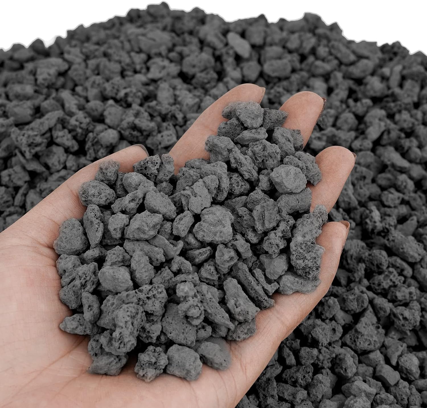 VAYINATO® 500g Black Natural Lava Chips for Plants Garden Landscaping Decoration Aquarium Volcanic Horticultural Bonsai Terrarium Fish Tank Decorative Stone by Petzlifeworld (B0CW1JCS6K) Amazon Price History, Amazon Price Tracker