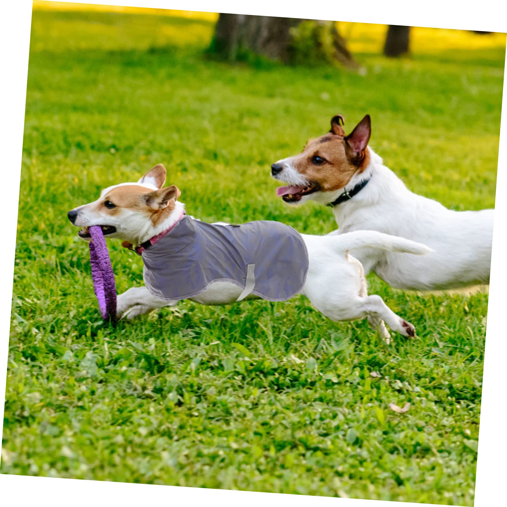 FOMIYES Lot De 3 Manteaux De Pluie pour Petits Chiens Matériau Respirant Réfléchissant Facile À Garde Votre Animal Sec