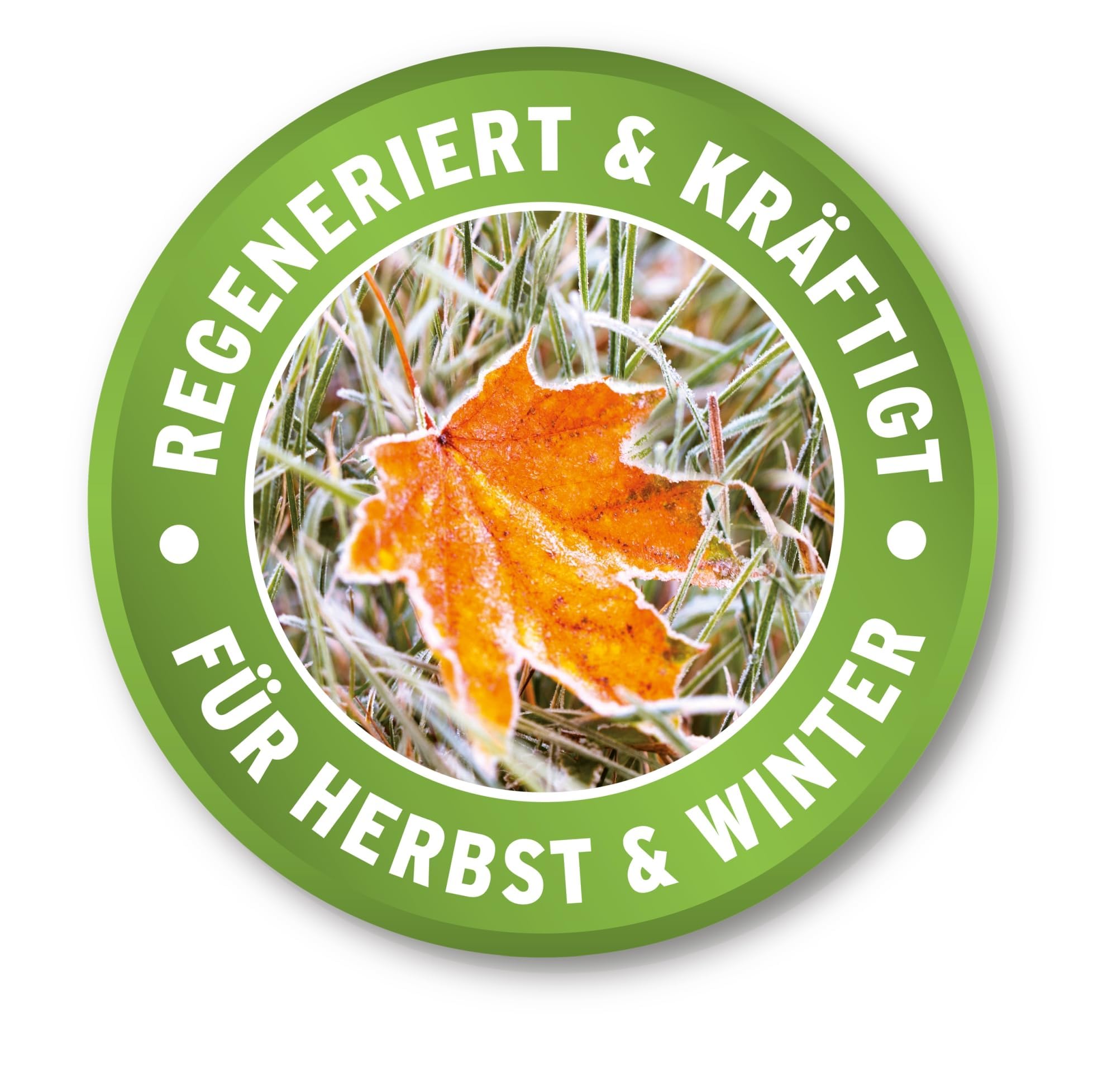 Substral Herbst Rasendünger kaliumreicher Spezial - Rasendünger mit lang anhaltender Wirkung für 500 m² 12,5kg Sack