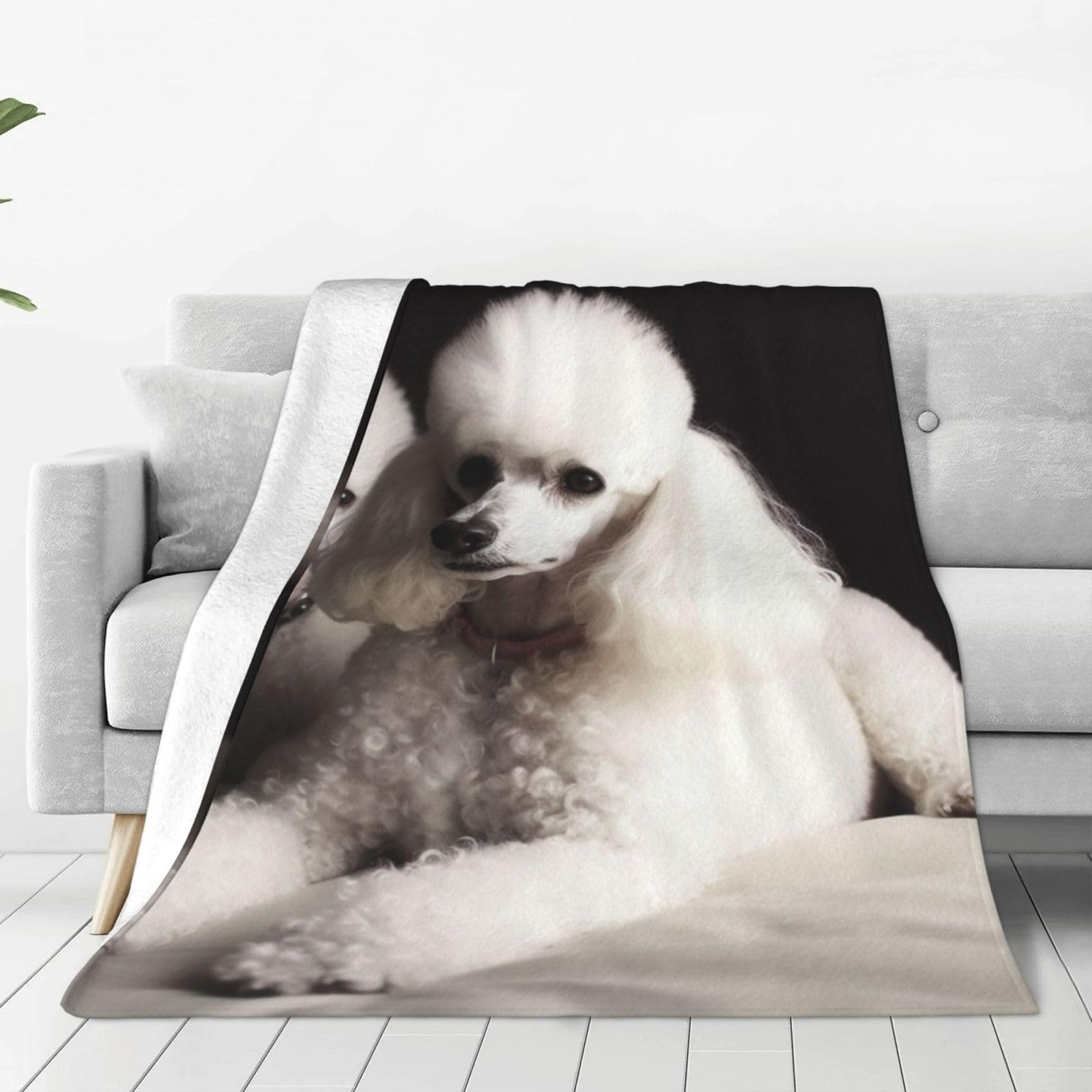 Couverture polaire caniche français plaid chaud peluche lit canapé bureau
