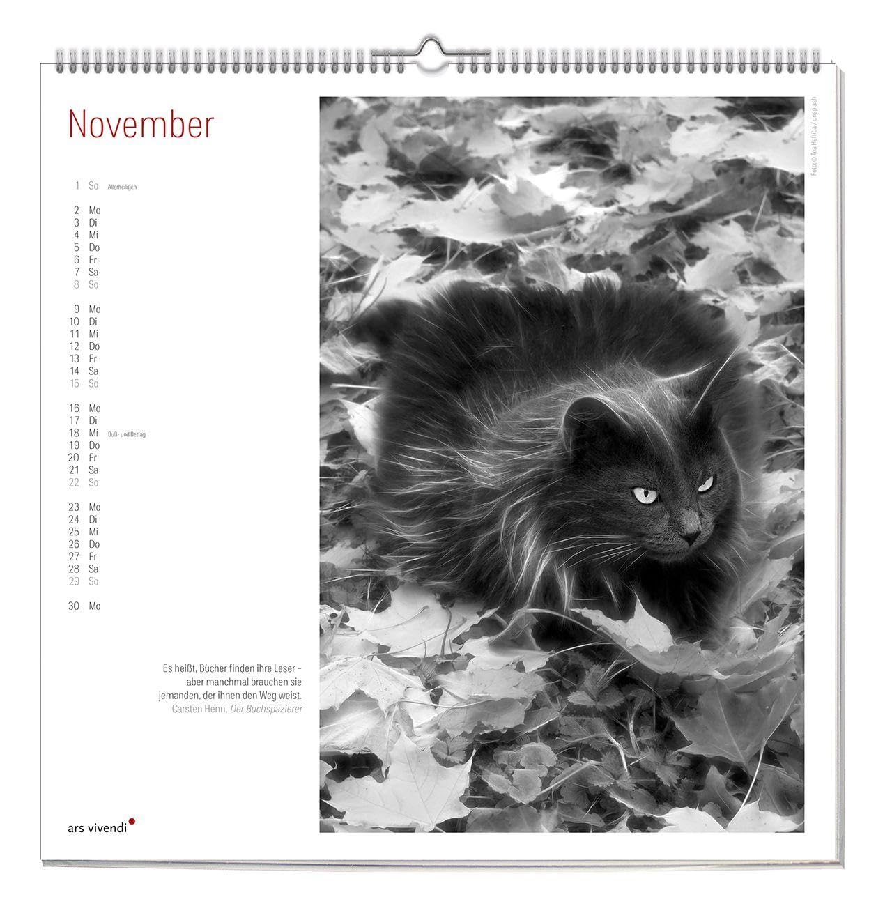 Der große literarische KATZEN Kalender 2027 – Wandkalender mit Katzenfotos & gefühlvollen Texten – Inspirierendes Geschenk für Katzenliebhaber & Tierfreunde