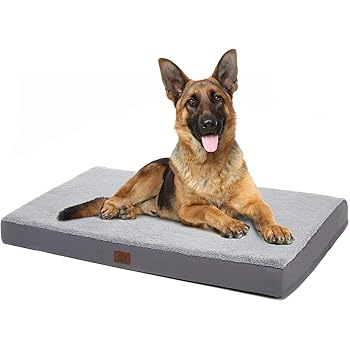 foam dog bed with removable cover