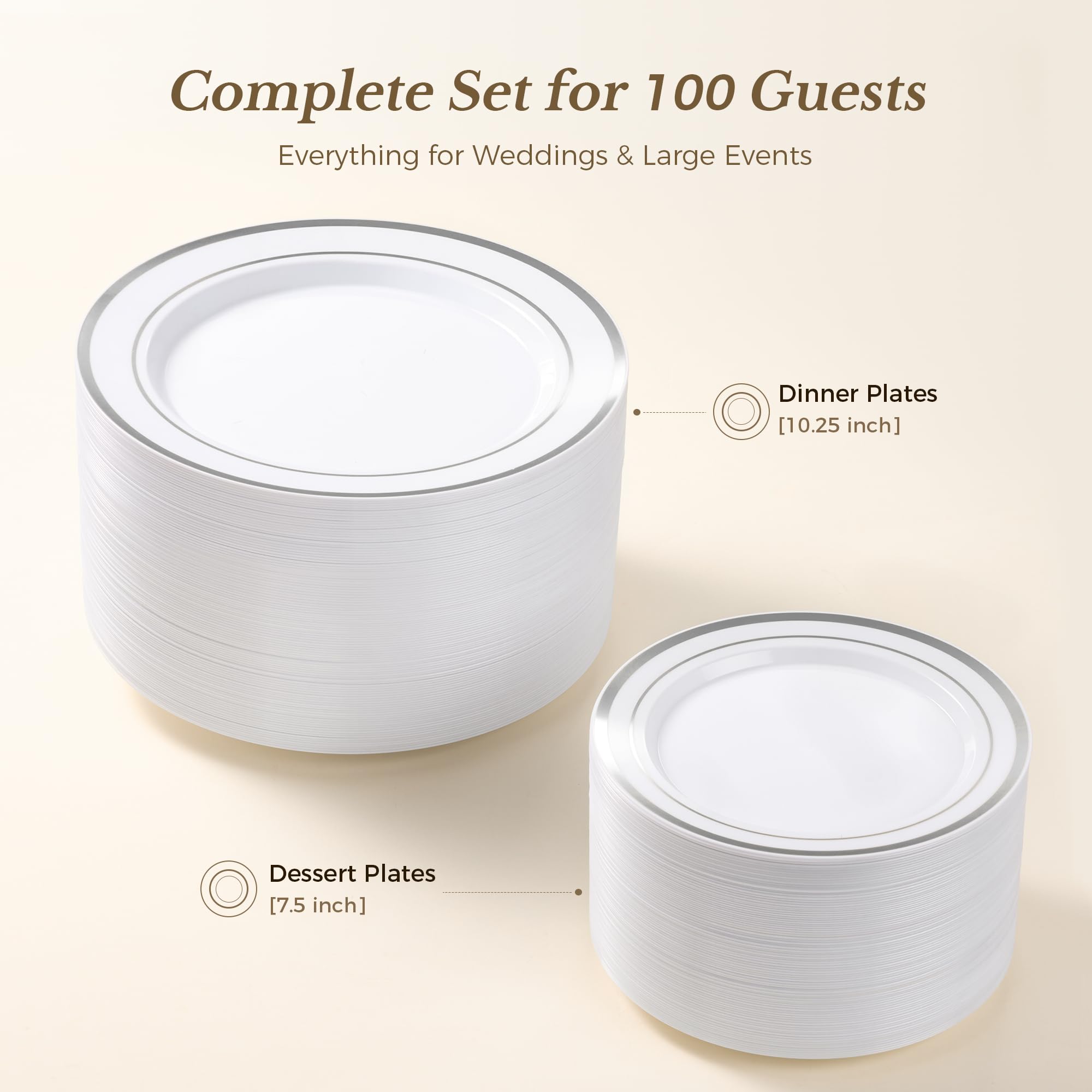 200 Silver Disposable Plates - Party & Event Plates -3 200 Silver Disposable Plates - Party & Event Plates -3