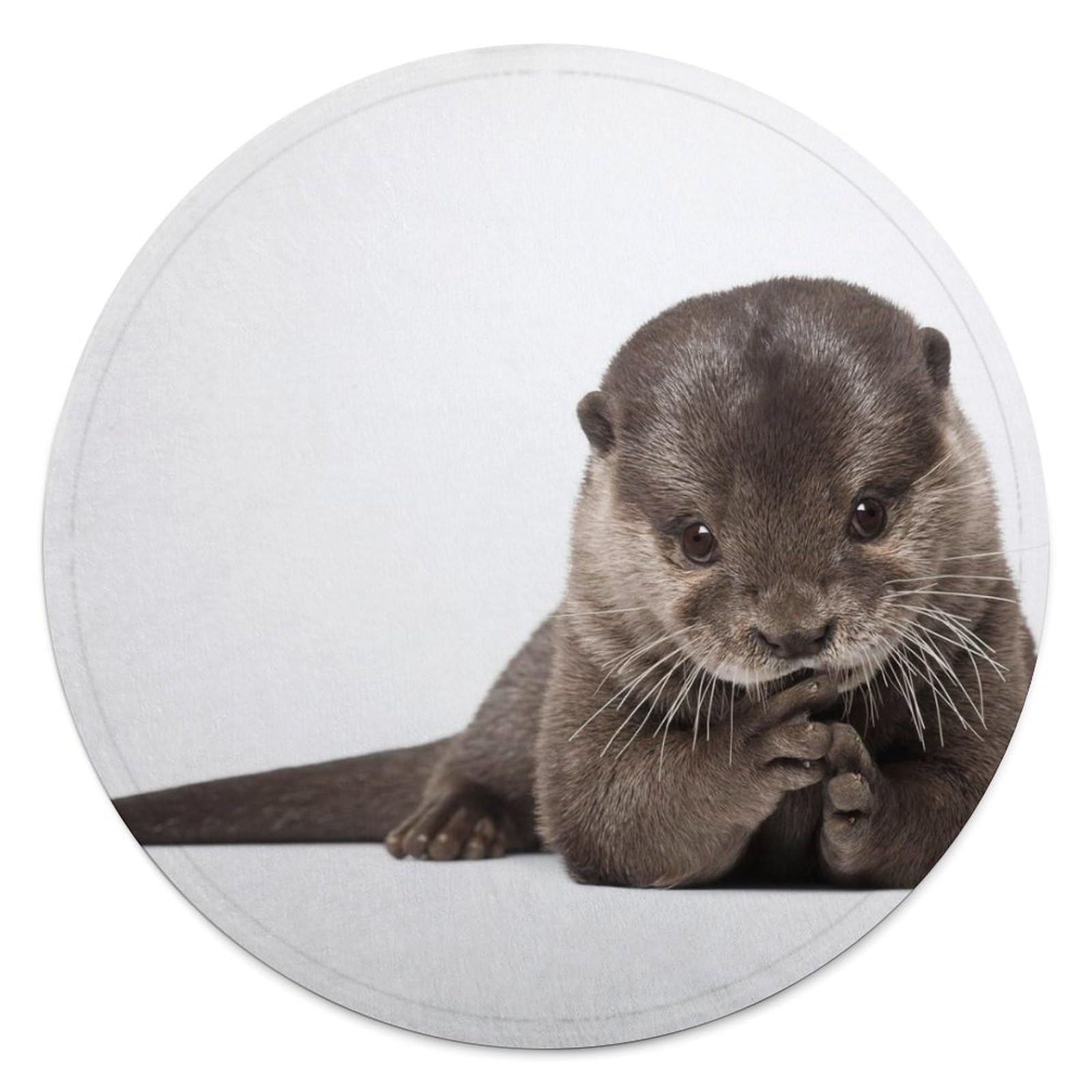 FekiLoot Cute Animal Otter Round Flannel Throw Blanket, 59.1 Inch Diameter Single Sided Printed Fleece Blanket, Multipurpose Foldable Decor Cover for Couch Office Camping Home Furnishing