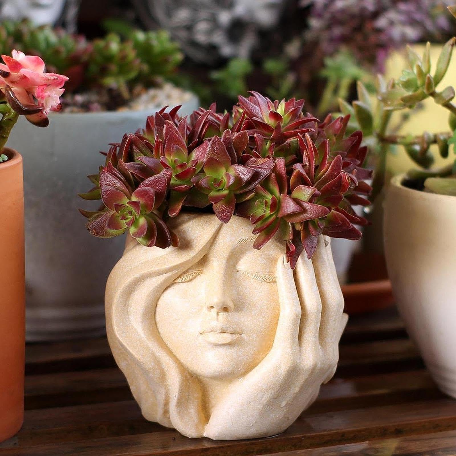 Vaso per Piante Facciali per Interni Ed Esterni, Fioriere per Terrazza, Balcone E Ufficio