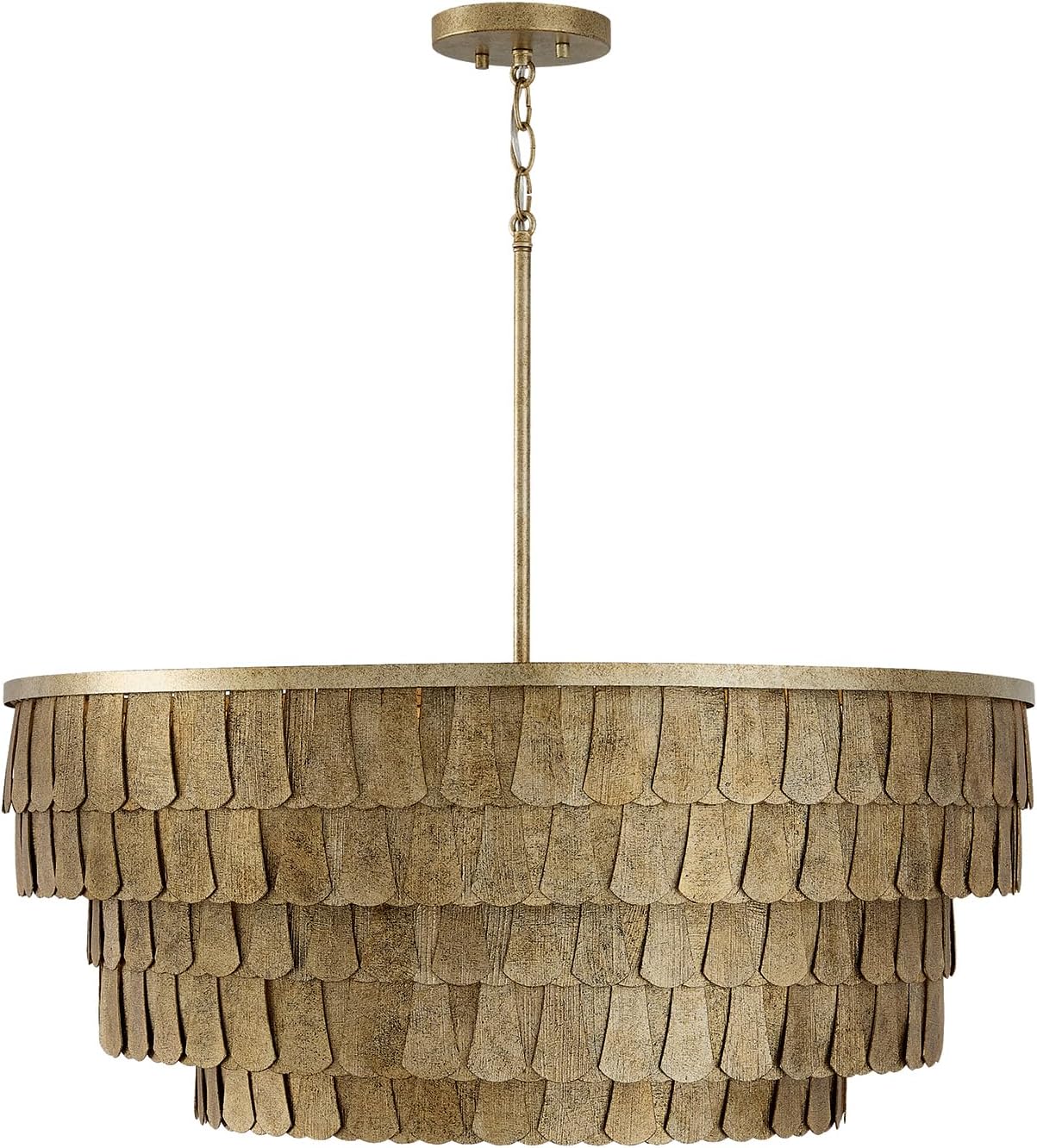 Capital Lighting 461661AGO Arden Transitional Metal Chandelier, 6-Light 360 Total Watts, 12" H x 29" W, Ancestral Gold
