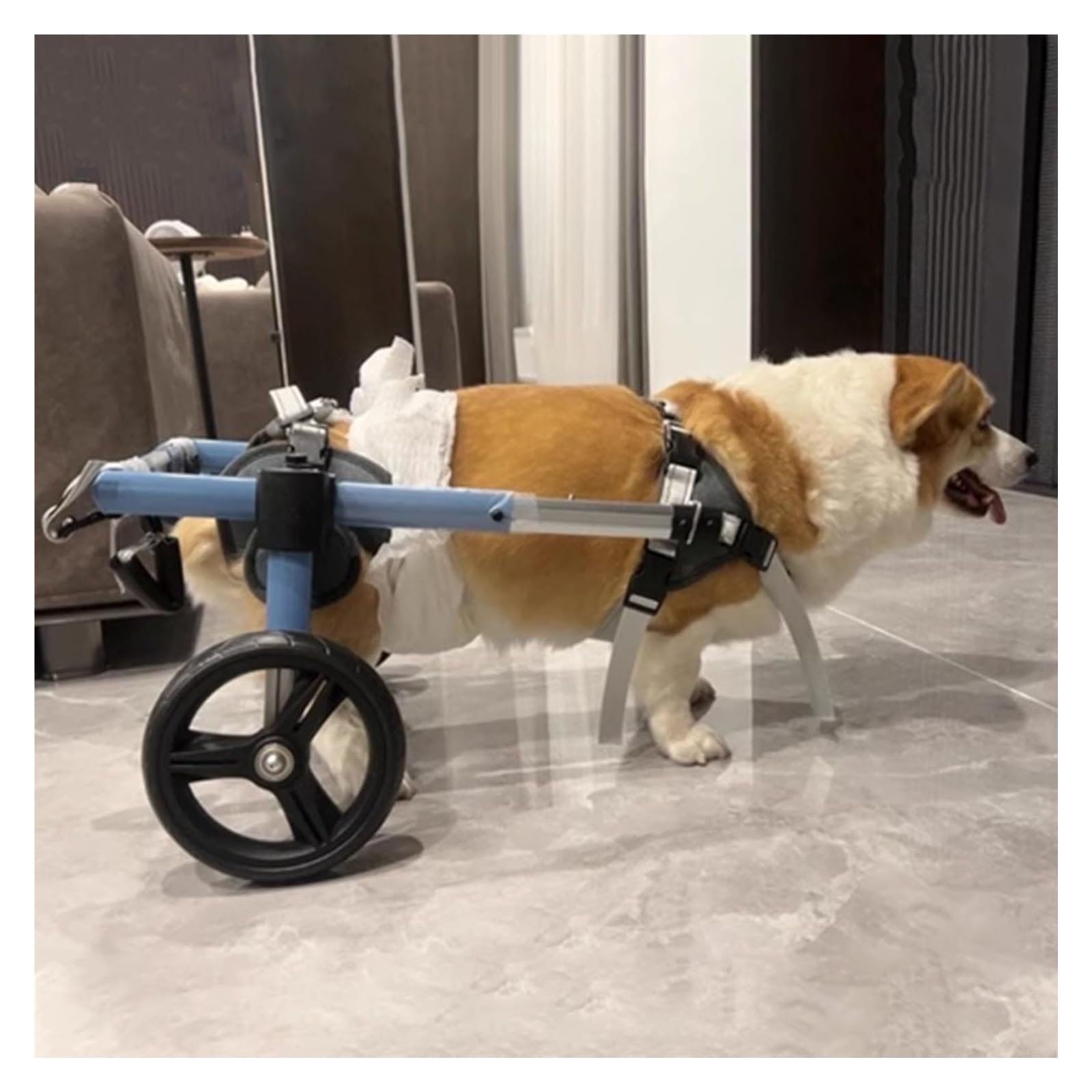 Silla de ruedas para perro pequeño con soporte ajustable para patas traseras en rehabilitación