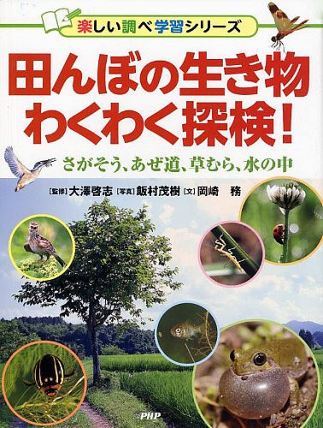 田んぼの生き物わくわく探検! さがそう、あぜ道、草むら、水の中